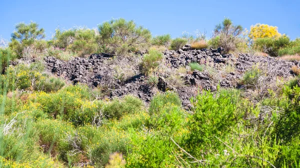 Zarośnięte skamieniałe lawy na wulkan Etna — Zdjęcie stockowe