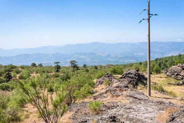 Bewachsener Hang und alte verhärtete Lava des Ätna — Stockfoto