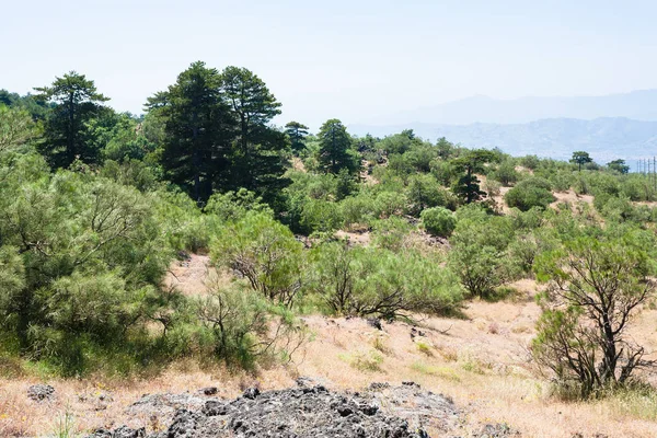 Zarostlém svahu sopky Etna na Sicílii — Stock fotografie