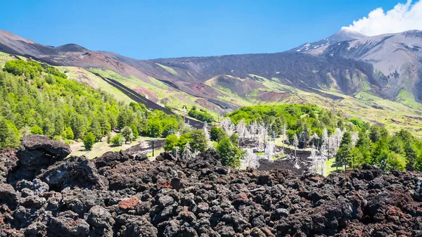 Vista del flujo de lava endurecido en la pendiente del monte Etna —  Fotos de Stock