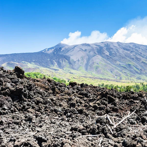 Vista de lava petrificada en la ladera del volcán Etna —  Fotos de Stock