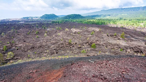 Paesaggio con pendio di antichi crateri dell'Etna — Foto Stock