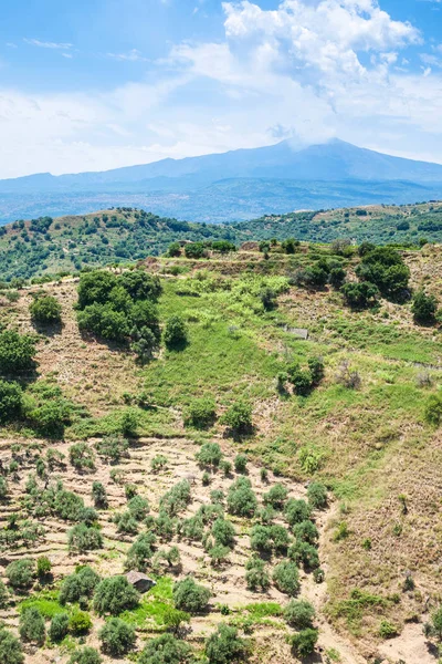 Pendio verde della montagna e vulcano Etna — Foto Stock