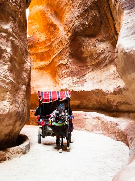 Beduino cavallo carrello in Al Siq passaggio per la città di Petra — Foto Stock