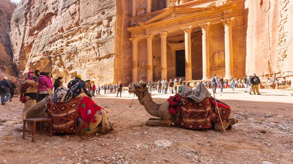 Kameler och människor nära al-Khazneh temple i Petra — Stockfoto