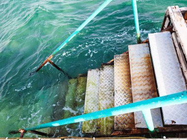 su üzerinde Coral beach Kızıldeniz'Aqaba için adımlar