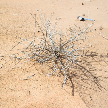 Wadi Rum çöl kumları fabrikasında kurutulmuş