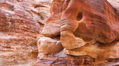 Antik Petra için Al Siq pasajda fil kaya