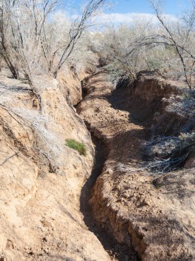 Wadi Al Kharrar alanında kurutulmuş Jorda nehir yatağı