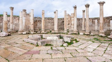 Agora: Jerash şehri eski pazarda