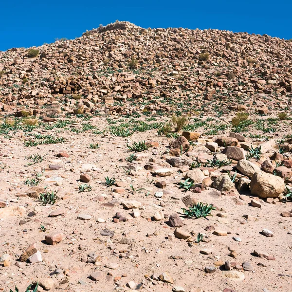Svahu kopce s kamenem ruiny v městě Petra — Stock fotografie