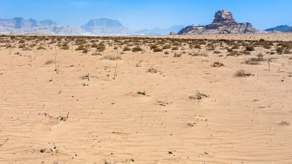 Sphinxfelsen in der Wadi-Rum-Wüste — Stockfoto