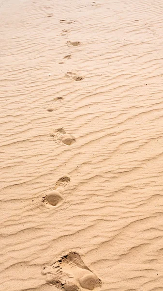 Footprints on the sand of dune in Wadi Rum desert — Stock Photo, Image