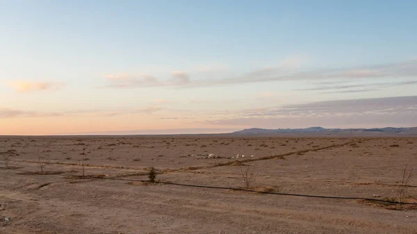 Planície ao longo da estrada do deserto na Jordânia — Fotografia de Stock