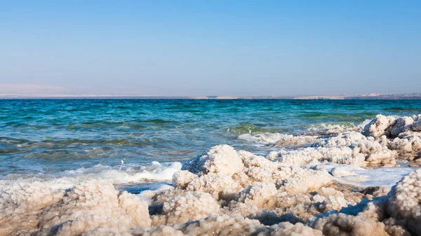 盐关闭在死海的海滩上 — 图库照片