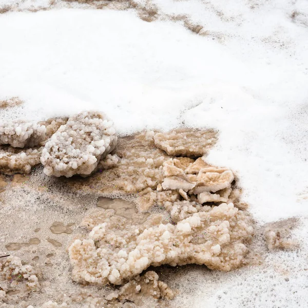 Stukken van kristallijn zout in het schuim van de dode zee — Stockfoto