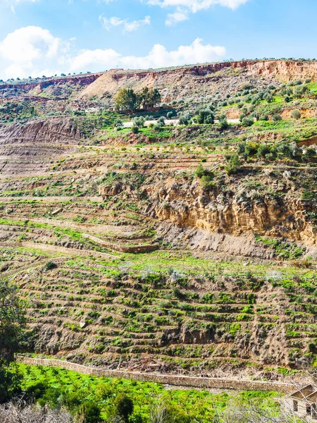 Terrassenförmige Felder an Berghängen in Jordanien im Winter — Stockfoto