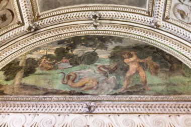 Palazzo Chiericati, Vicenza, tavanda fresco