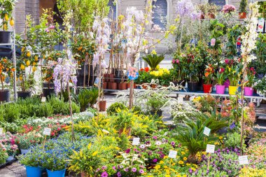 Prato della Valle Padua yılında Bahçe piyasaya
