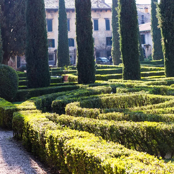 Giusti garten in der stadt verona im frühling — Stockfoto