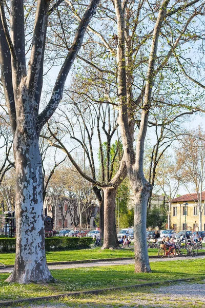 Bare trees in urban garden Parco del Te in Mantua — Stock Photo, Image
