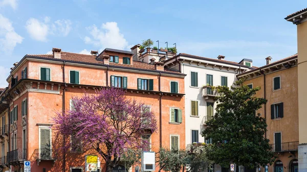 Frühling Stadtbild in der Stadt Verona — Stockfoto