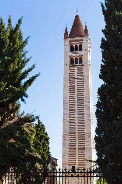 Campanile of Basilica of San Zeno in Verona — Stock Photo, Image