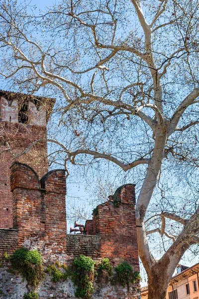 Ściana z m w kształcie merlons z Castelvecchio — Zdjęcie stockowe
