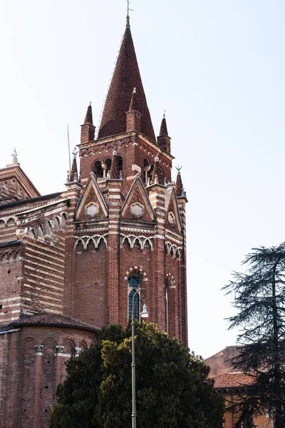 Chiesa di San fermo maggiore a Verona — Foto Stock