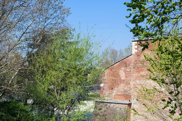 Urban garden i i Verona city under våren — Stockfoto