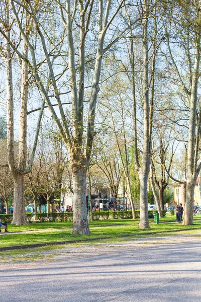 Bäume im öffentlichen Stadtgarten parco del te — Stockfoto