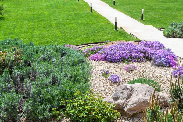 Alpine garden and sloped lawn with path — Stock Photo, Image
