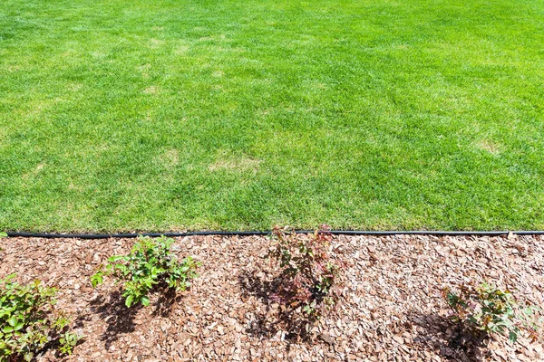 Manicured lawn on backyard — Stock Photo, Image