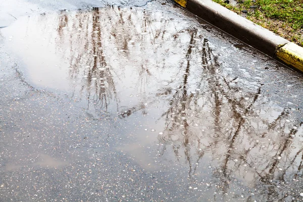 Raindrops in puddle on urban street — Stock Photo, Image