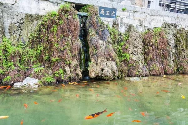 Gouden vissen in de buurt van Dijk van Yi rivier in Longmen — Stockfoto