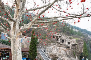 ağaç ve Batı Hill mağaralarda kırmızı fener