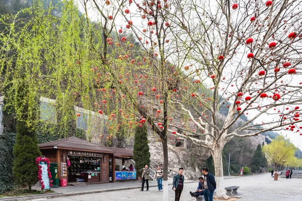 Turisti vicino albero con lanterne rosse cinesi — Foto Stock