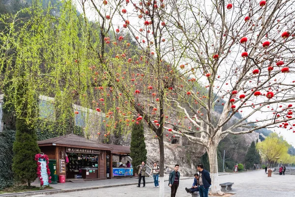 turistler Çin kırmızı fenerler ağacıyla yakınındaki