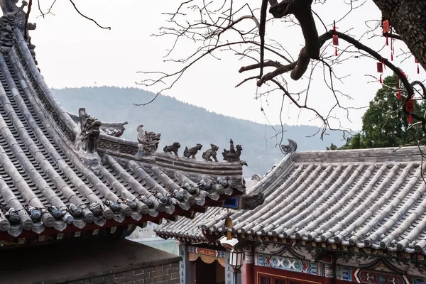 Decorazione del tetto di pagoda sulla collina orientale — Foto Stock