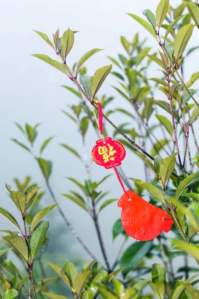 Cartel budista rojo en el árbol bajo la lluvia en Tiantou — Foto de Stock