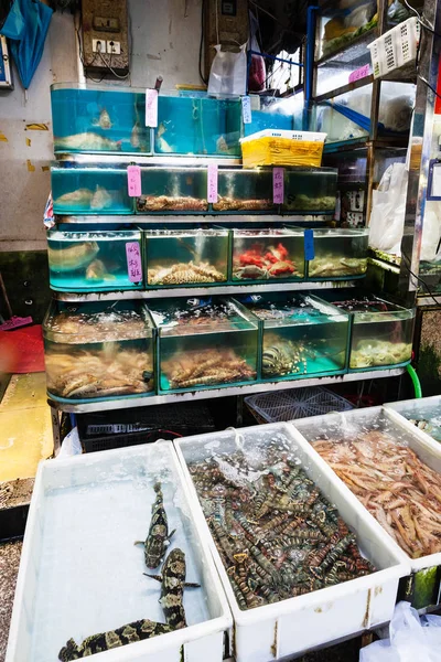 Acuarios y cajas en el mercado de pescado en Guangzhou —  Fotos de Stock
