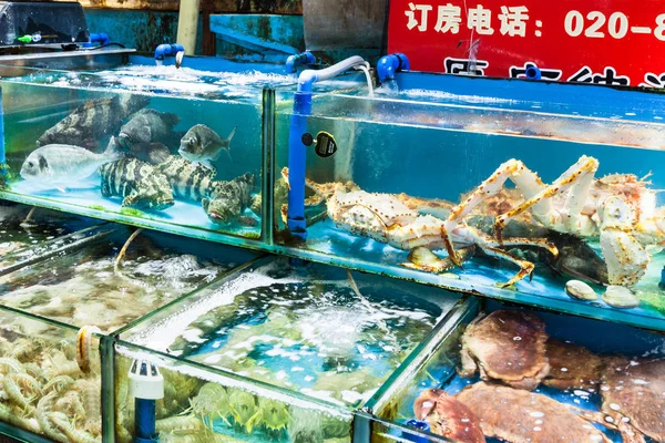 Vários caranguejos e camarões mercado de peixe em Guangzhou — Fotografia de Stock