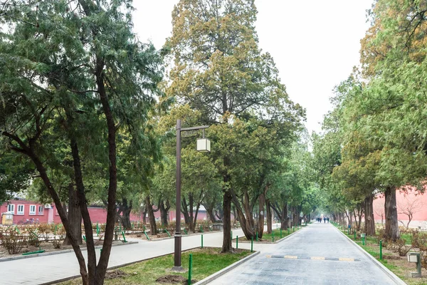 Alley in public park in Beijing Imperial city — Stock Photo, Image