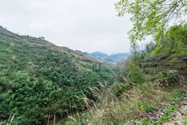 Grüne Hügel rund um das Dorf Dazhai — Stockfoto