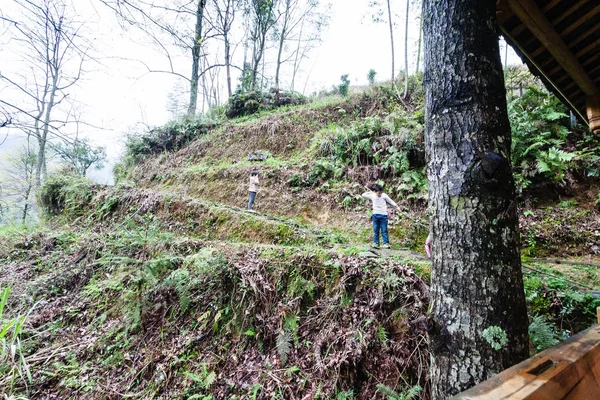 School children go to school on green hill