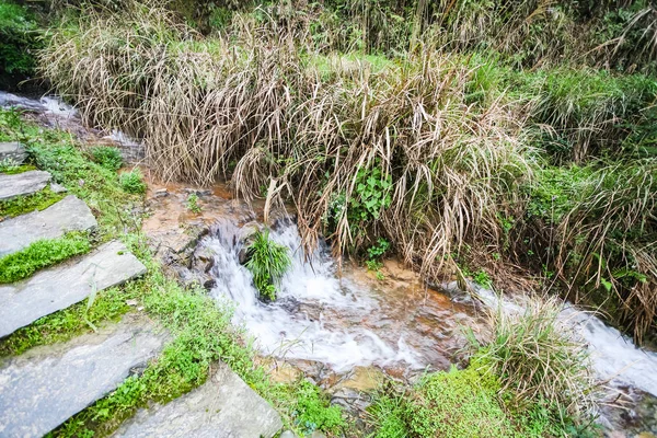 天头寨附近山坡上的台阶和溪水 — 图库照片