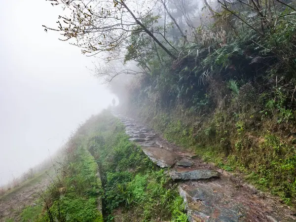 在多雨的雾蒙蒙的春日在山坡上的湿路径 — 图库照片