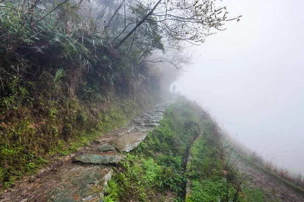 Sentier sur la pente de la colline dans le jour de printemps brumeux pluvieux — Photo