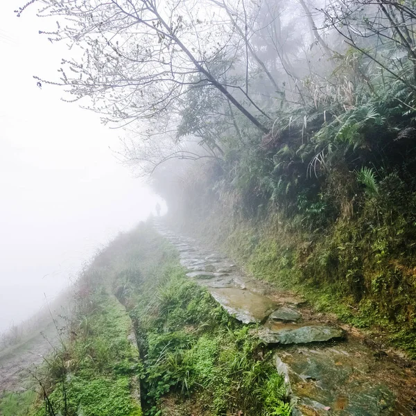 在多雨的雾蒙蒙的春日山坡上的人行道 — 图库照片