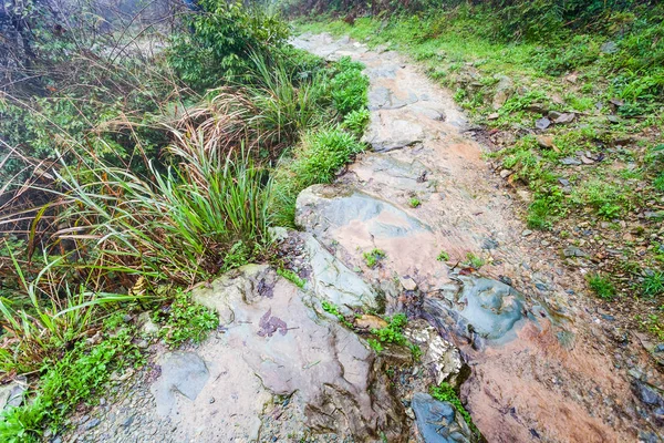 大寨梯田山上的湿路径 — 图库照片